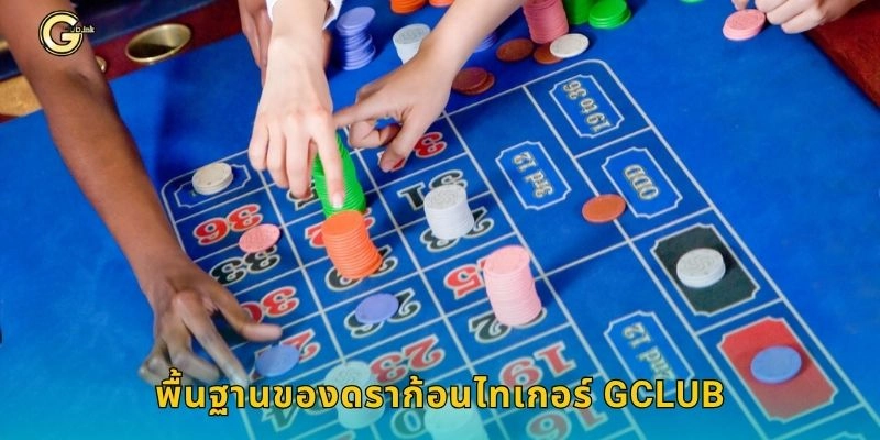 พื้นฐานของดราก้อนไทเกอร์ GCLUB