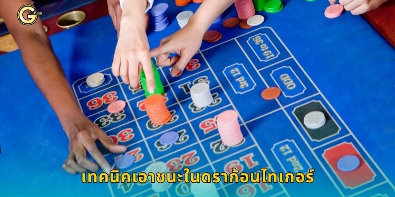 เทคนิคเอาชนะในดราก้อนไทเกอร์