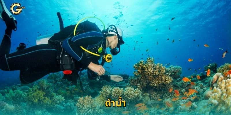 ดำน้ำ กีฬาแห่งความสง่างาม – เดิมพันศิลปะแห่งความแม่นที่ GCLUB
